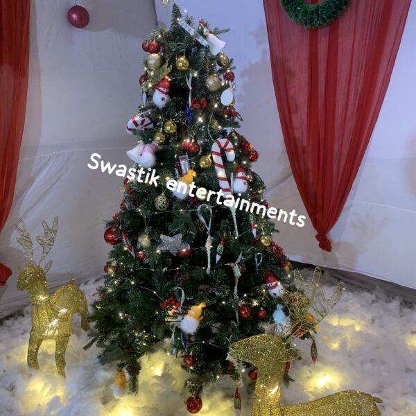 Merry Christmas Selfie Point